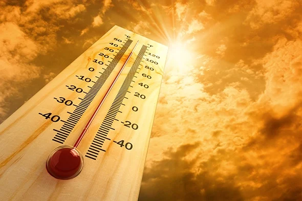 Precoin - Golpe de Calor o Shock Térmico