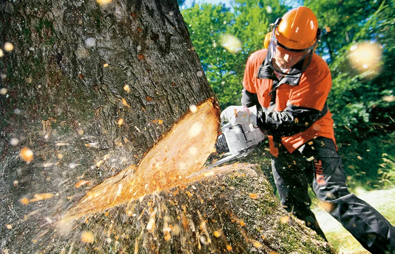 Herido un trabajador al caerle encima un árbol en Bergara.