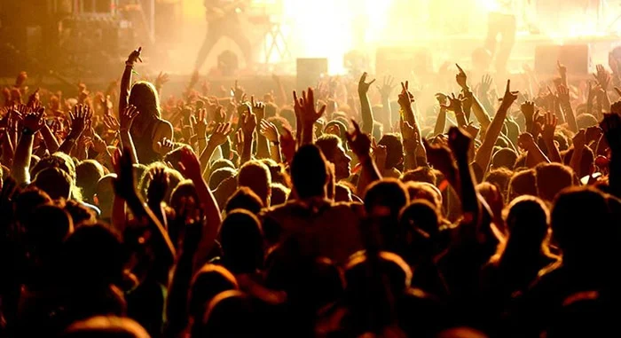 La seguridad de los Festivales de Música.