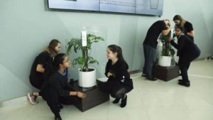 Foto planta bullying