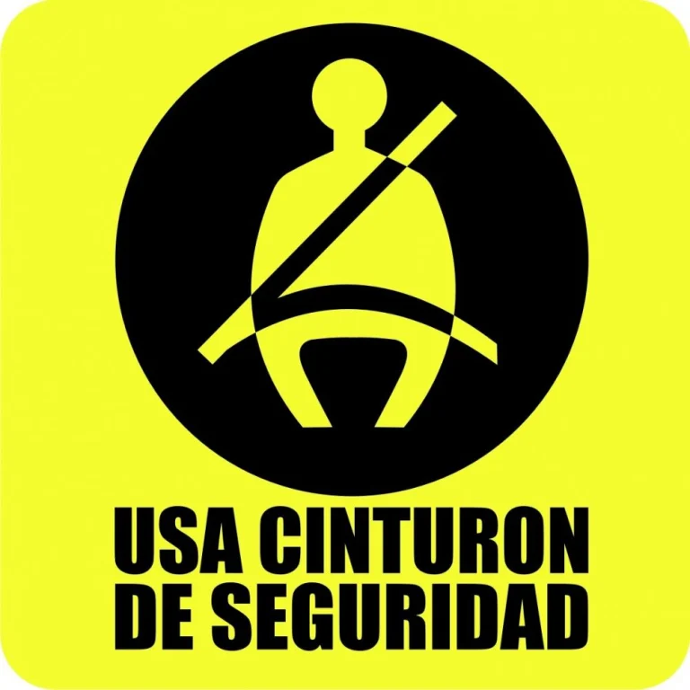 Campaña neozelandesa sobre el cinturón de seguridad