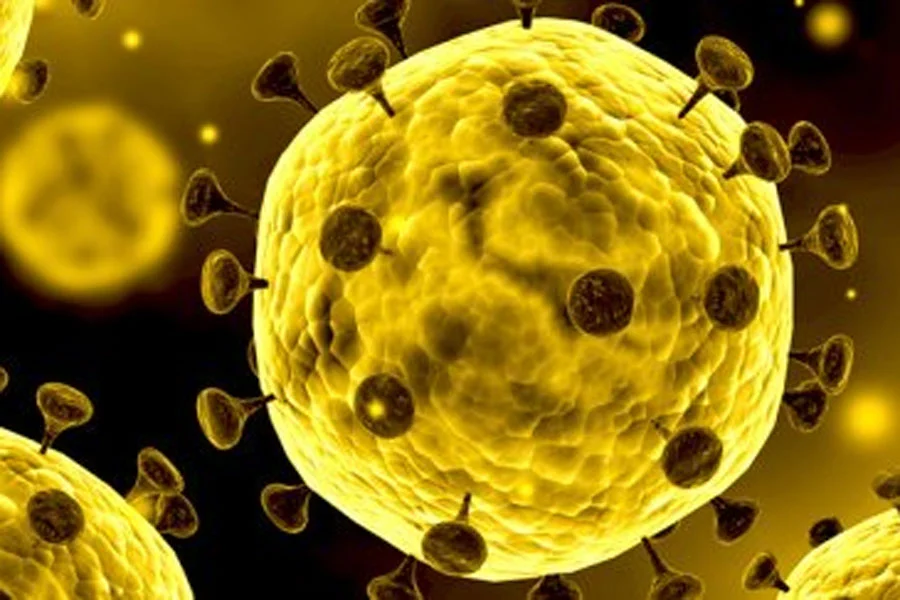 Imagen del coronavirus