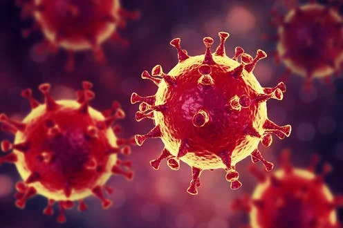 coronavirus-microscopio