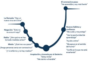 Esquema visual etapas