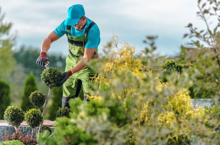 Jardinería e Incapacidad Temporal ¿son compatibles?