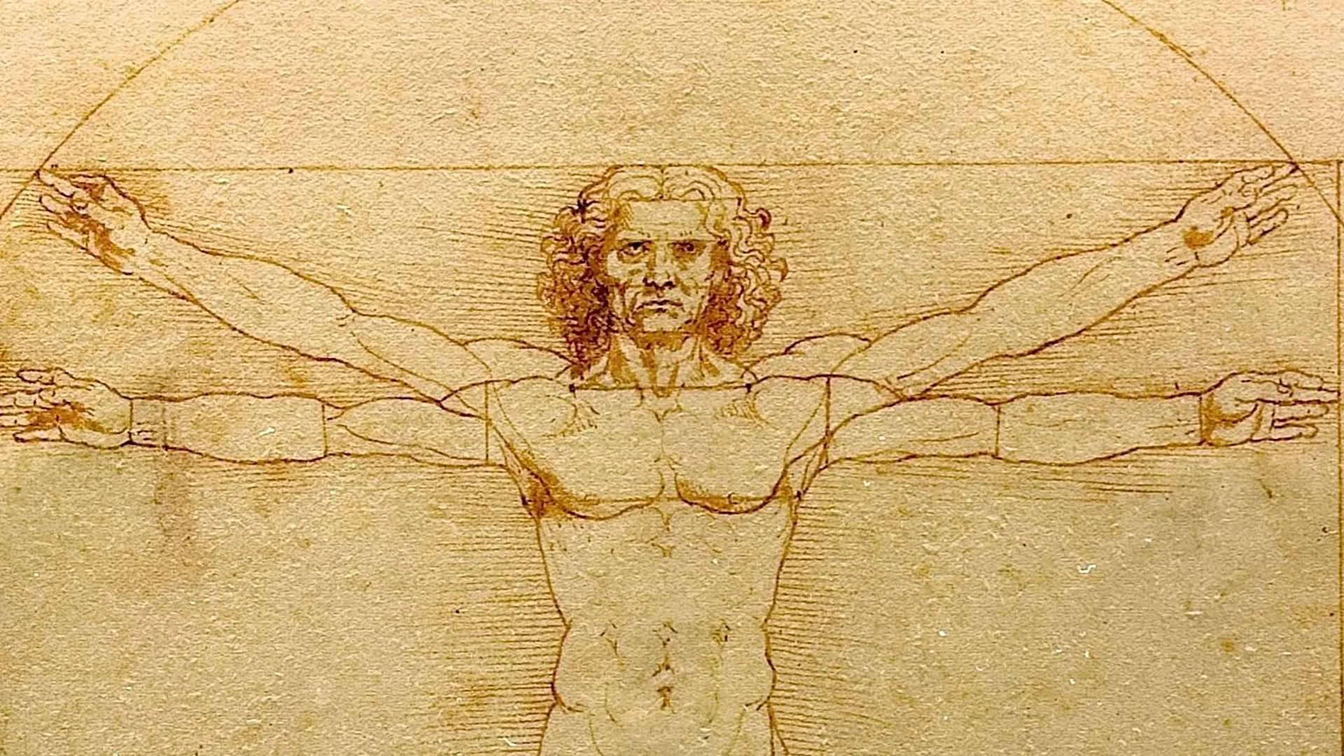 Ergonomía